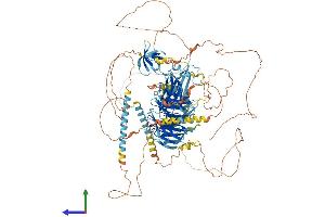 Protein Structure (PS) image for Abelson Helper Integration Site 1 (AHI1) (AA 1-1196) protein (His tag) (ABIN7552107)