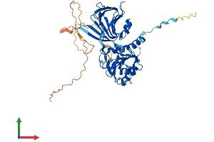 Protein Structure (PS) image for NAD Kinase (NADK) (AA 1-446) protein (His tag) (ABIN7549645)