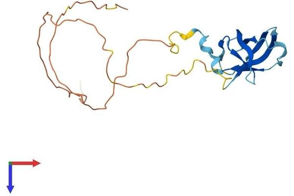 GAR1 Protein (AA 1-217) (His tag)