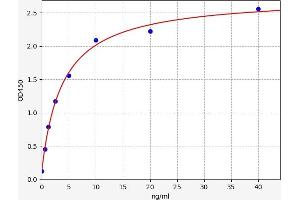 COL2A1 ELISA 试剂盒