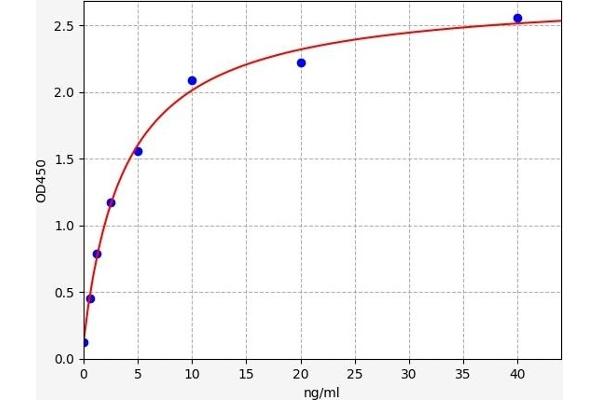 COL2A1 ELISA 试剂盒