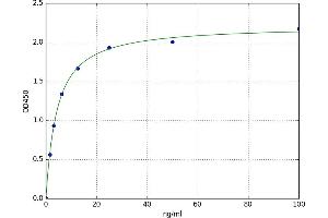 A typical standard curve (GATA4 ELISA 试剂盒)