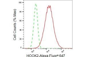 Flow cytometric analysis of HOOK2 expression in HepG2 cells using HOOK2 antibody (ABIN7798999), 1:2,000). (Recombinant HOOK2 抗体)