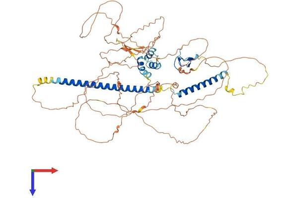 TAB2 Protein (AA 1-693) (His tag)
