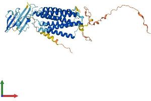 AlphaFold protein structure predicition of Human Recombinant TMEM145 Protein, UniprotID Q8NBT3 (TMEM145 Protein (AA 1-493) (His tag))