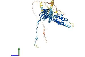 AlphaFold protein structure predicition of Human Recombinant VANGL1 Protein, UniprotID Q8TAA9