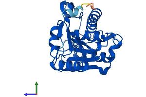 Protein Structure (PS) image for Lysophospholipase II (LYPLA2) (AA 1-231) protein (His tag) (ABIN7549261)