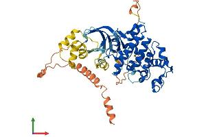 Protein Structure (PS) image for Cyclin-Dependent Kinase 18 (CDK18) (AA 1-451) protein (His tag) (ABIN7556895)