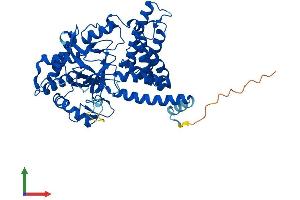 AlphaFold protein structure predicition of Mouse Recombinant Smyd1 Protein, UniprotID P97443