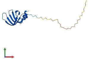 Protein Structure (PS) image for Small Nuclear Ribonucleoprotein D1 Polypeptide 16kDa (SNRPD1) (AA 1-119) protein (His tag) (ABIN7556604)