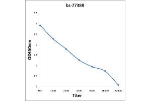 Antigen: 0. (Anillin 抗体  (AA 501-600))