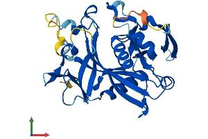 Protein Structure (PS) image for Nudix (Nucleoside Diphosphate Linked Moiety X)-Type Motif 17 (NUDT17) (AA 1-296) protein (His tag) (ABIN7560659)