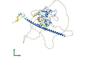 Protein Structure (PS) image for E3 Ubiquitin-Protein Ligase UNKL (UNKL) (AA 1-680) protein (His tag) (ABIN7545051)