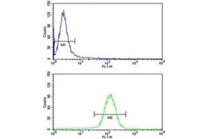 UHRF1 antibody flow cytometry analysis of HeLa cells (green) compared to a negative control (blue). (UHRF1 抗体  (AA 229-257))