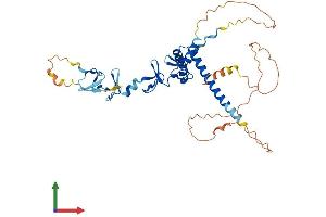 AlphaFold protein structure predicition of Mouse Recombinant Lmx1a Protein, UniprotID Q9JKU8