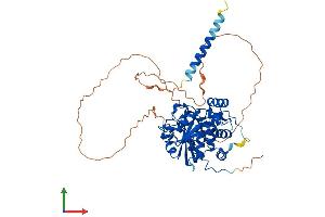 Protein Structure (PS) image for ST6 beta-Galactosamide alpha-2,6-Sialyltranferase 2 (ST6GAL2) (AA 1-524) protein (His tag) (ABIN7558166)
