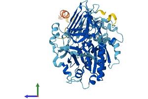 Protein Structure (PS) image for UDP-Glucose Pyrophosphorylase 2 (UGP2) (AA 1-508) protein (His tag) (ABIN7544927)