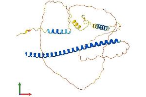 Protein Structure (PS) image for PRKC, Apoptosis, WT1, Regulator (PAWR) (AA 1-333) protein (His tag) (ABIN7560267)