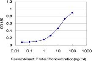 Detection limit for recombinant GST tagged HOXA5 is approximately 0. (HOXA5 抗体  (AA 171-270))