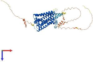 OPN4 Protein (AA 1-478) (His tag)
