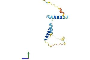 Protein Structure (PS) image for Chromosome 13 Open Reading Frame 15 (C13orf15) (AA 1-137) protein (His tag) (ABIN7551404)
