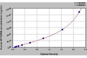 Myoglobin (MB) ELISA Kit