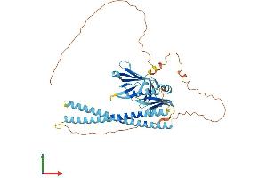 Protein Structure (PS) image for Synaptosomal-Associated Protein, 47kDa (SNAP47) (AA 1-464) protein (His tag) (ABIN7546329)
