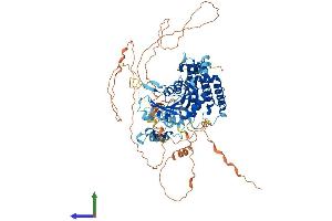 Protein Structure (PS) image for PiggyBac Transposable Element Derived 1 (PGBD1) (AA 1-809) protein (His tag) (ABIN7550666)
