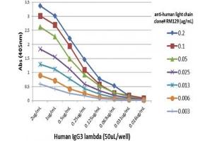 Recombinant Human Ig Light Chains antibody used to detect the lambda chain of hIgG3. (Recombinant Ig Light Chains 抗体)