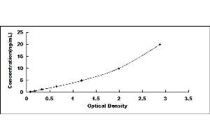 Typical standard curve (Estrogen Receptor alpha ELISA 试剂盒)