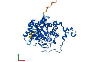 AlphaFold protein structure predicition of Mouse Recombinant Bhmt2 Protein, UniprotID Q91WS4