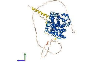 Protein Structure (PS) image for RAR-Related Orphan Receptor C (RORC) (AA 1-518) protein (His tag) (ABIN7555280)