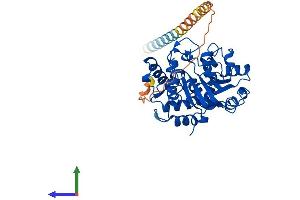 Protein Structure (PS) image for ST6 beta-Galactosamide alpha-2,6-Sialyltranferase 1 (ST6GAL1) (AA 1-406) protein (His tag) (ABIN7546003)