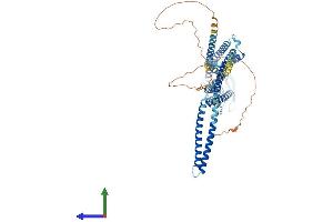 Protein Structure (PS) image for Potassium Intermediate/small Conductance Calcium-Activated Channel, Subfamily N, Member 2 (KCNN2) (AA 1-579) protein (His tag) (ABIN7554250)