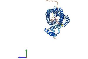AlphaFold protein structure predicition of Human Recombinant CERS5 Protein, UniprotID Q8N5B7
