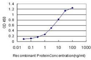 ELISA image for anti-Heat Shock 70kDa Protein 1-Like (HSPA1L) (AA 561-641) antibody (ABIN561381)