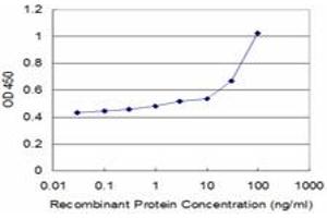 Detection limit for recombinant GST tagged HOXA6 is approximately 1ng/ml as a capture antibody. (HOXA6 抗体  (AA 31-130))