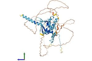 Protein Structure (PS) image for Zinc Finger and BTB Domain Containing 43 (ZBTB43) (AA 1-467) protein (His tag) (ABIN7545524)