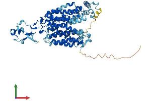 Protein Structure (PS) image for Solute Carrier Family 22 Member 5 (SLC22A5) (AA 1-557) protein (His tag) (ABIN7555380)