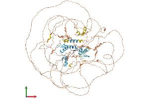 Protein Structure (PS) image for Zinc Finger Protein GLI1 (GLI1) (AA 1-1111) protein (His tag) (ABIN7563294)