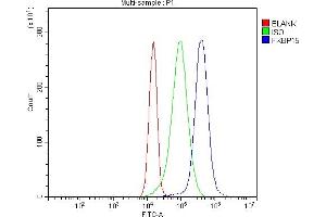 Flow Cytometry analysis of JK cells using anti-FKBP135/FKBP15 antibody (ABIN7600397). (FKBP15 抗体  (AA 19-1210))