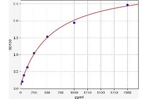 Growth Differentiation Factor 1 (GDF1) ELISA Kit