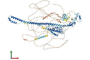 Protein Structure (PS) image for Tripartite Motif Containing 33 (TRIM33) (AA 1-1127) protein (His tag) (ABIN7555841)