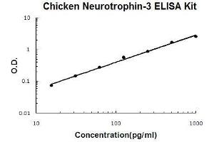 Chicken Neurotrophin-3 PicoKine ELISA Kit standard curve (Neurotrophin 3 ELISA 试剂盒)