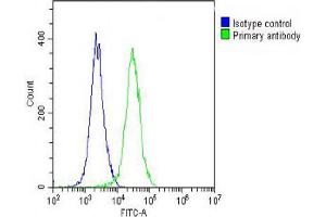 Overlay histogram showing A2058 cells stained with Antibody (green line). (ARV1 抗体  (N-Term))