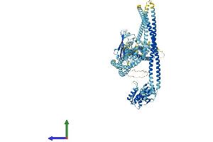Protein Structure (PS) image for SMC6 Structural Maintenance of Chromosomes 6-Like 1 (SMC6) (AA 1-1091) protein (His tag) (ABIN7555555)