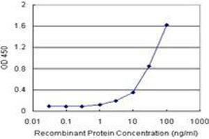 Sandwich ELISA detection sensitivity ranging from 3 ng/mL to 100 ng/mL. (CAMKK1 (人) Matched Antibody Pair)