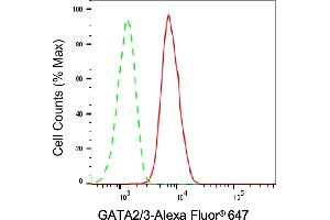 Flow cytometric analysis of GATA2/3 expression in HAP-1 cells using GATA2/3 antibody (ABIN7800933), 1:2,000). (Recombinant GATA2/GATA3 抗体)