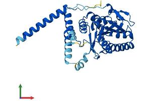 Protein Structure (PS) image for Asparagine-Linked Glycosylation 5, Dolichyl-Phosphate beta-Glucosyltransferase Homolog (S. Cerevisiae) (ALG5) (AA 1-324) protein (His tag) (ABIN7552112)