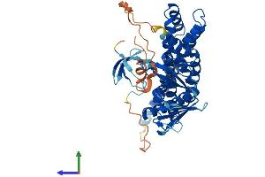 Protein Structure (PS) image for rho Guanine Nucleotide Exchange Factor (GEF) 4 (ARHGEF4) (AA 1-484) protein (His tag) (ABIN7558237)